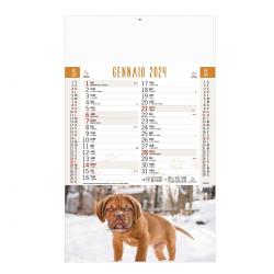 Calendario Cani e Gatti 28,8x47cm (testata 28,8x9cm)