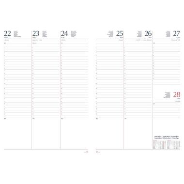 Agenda 2026 settimanale A4 21x29,7 cm gommato azzurro