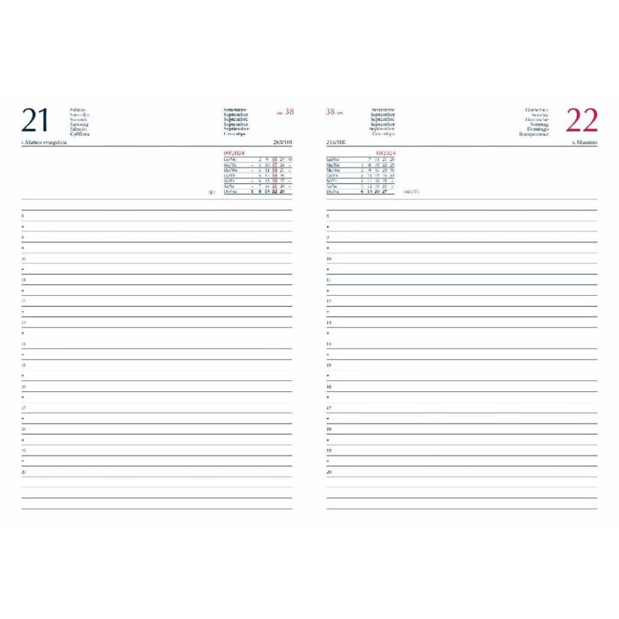 Agenda 2026 Giornaliera S/D separati 14,5x20,5 cm Gommato rosso